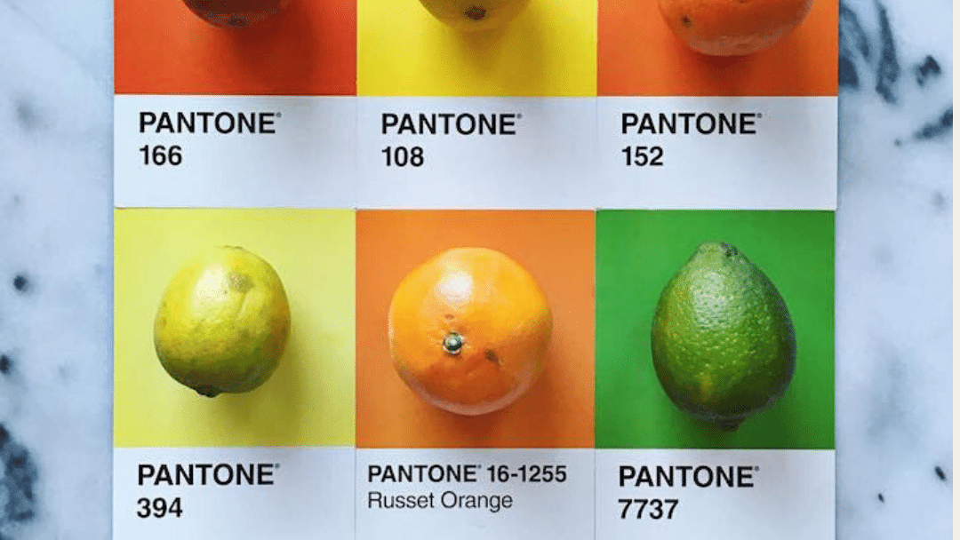 remove-the-labels-why-youre-not-a-pear-or-a-season