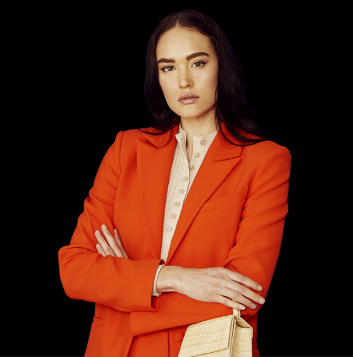 Australian Style Insitute - Banner