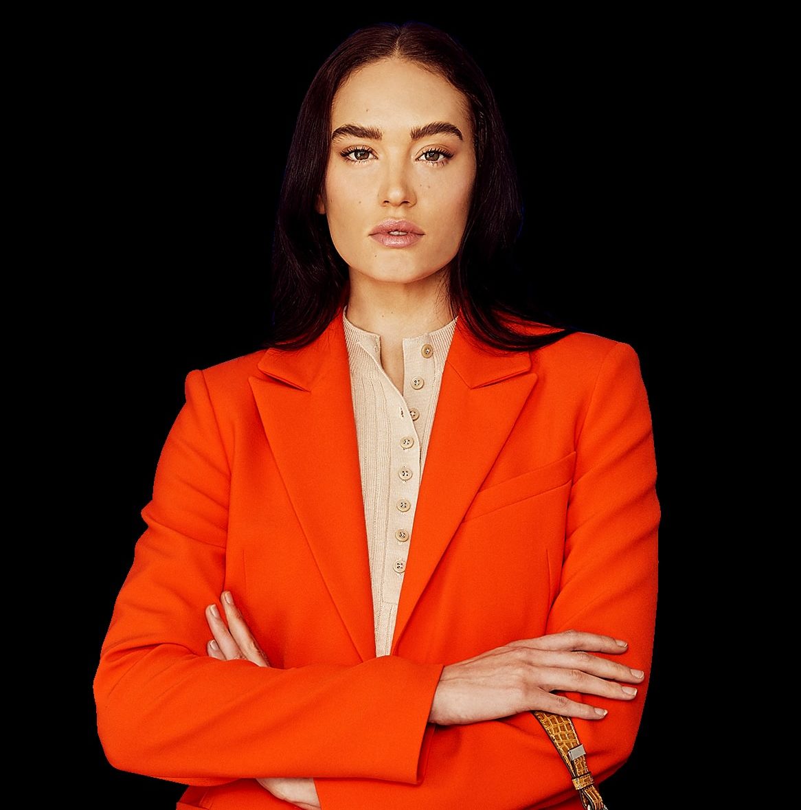 Australian Style Insitute - Banner